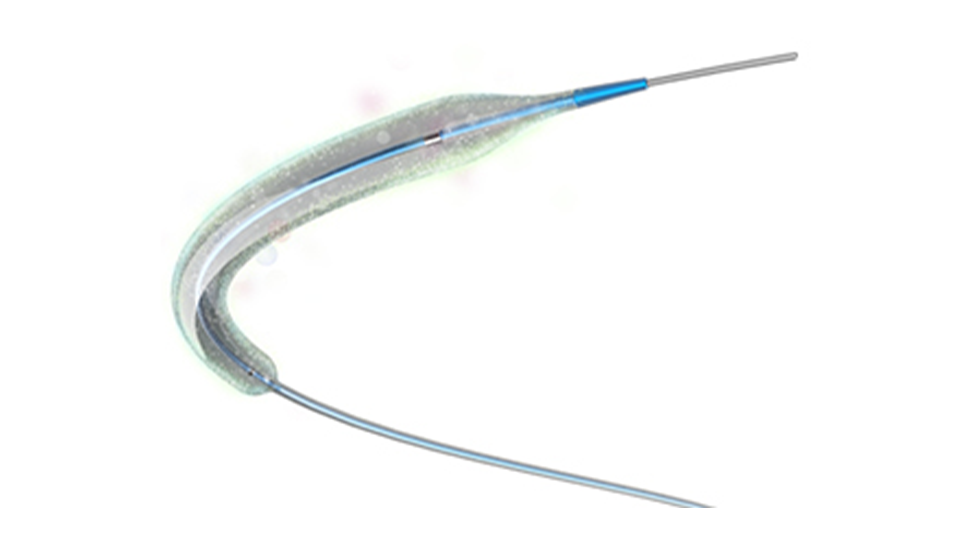 Drug-eluting PTA Balloon Dilatation Catheters