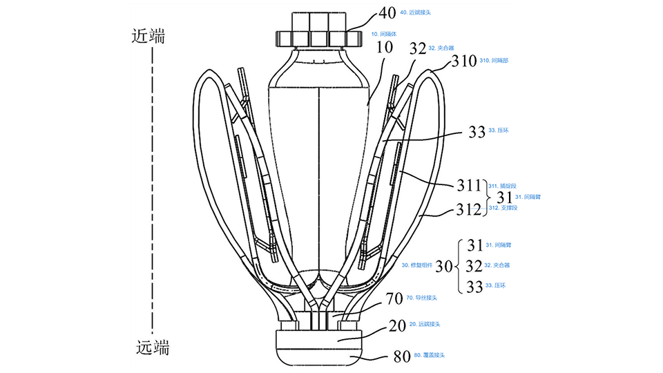 Transcatheter Tricuspid Clip and Delivery System