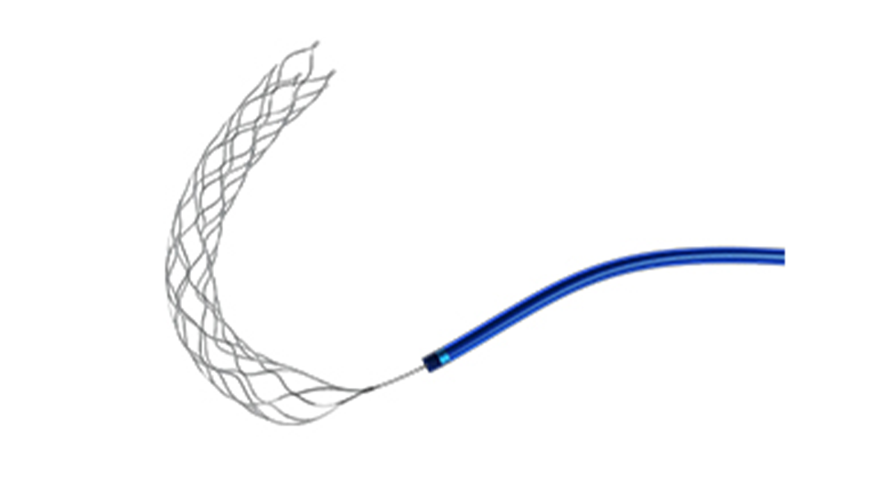 Stent Retriever